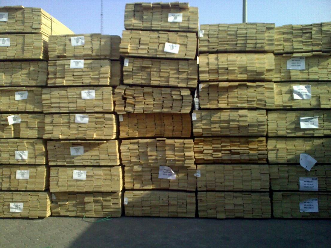 19mm�����ľ�ٹ��ϵ�Ԕ����B