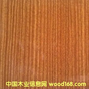 �������á��ذ����Ƹ߹��R�����B(t��i)�塪�S��ľ��Ԕ��(x��)��B