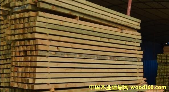 [��] �ްl(f��)��2013ľ�ĺ�ɸG�ṩ