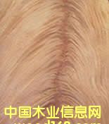 �һ�о��辵�Ԕ����B