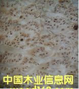 ��ɼ���� ��Ԕ����B