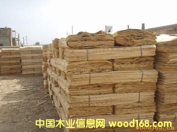 ��ľ�ΰ��Ԕ��(x��)��B