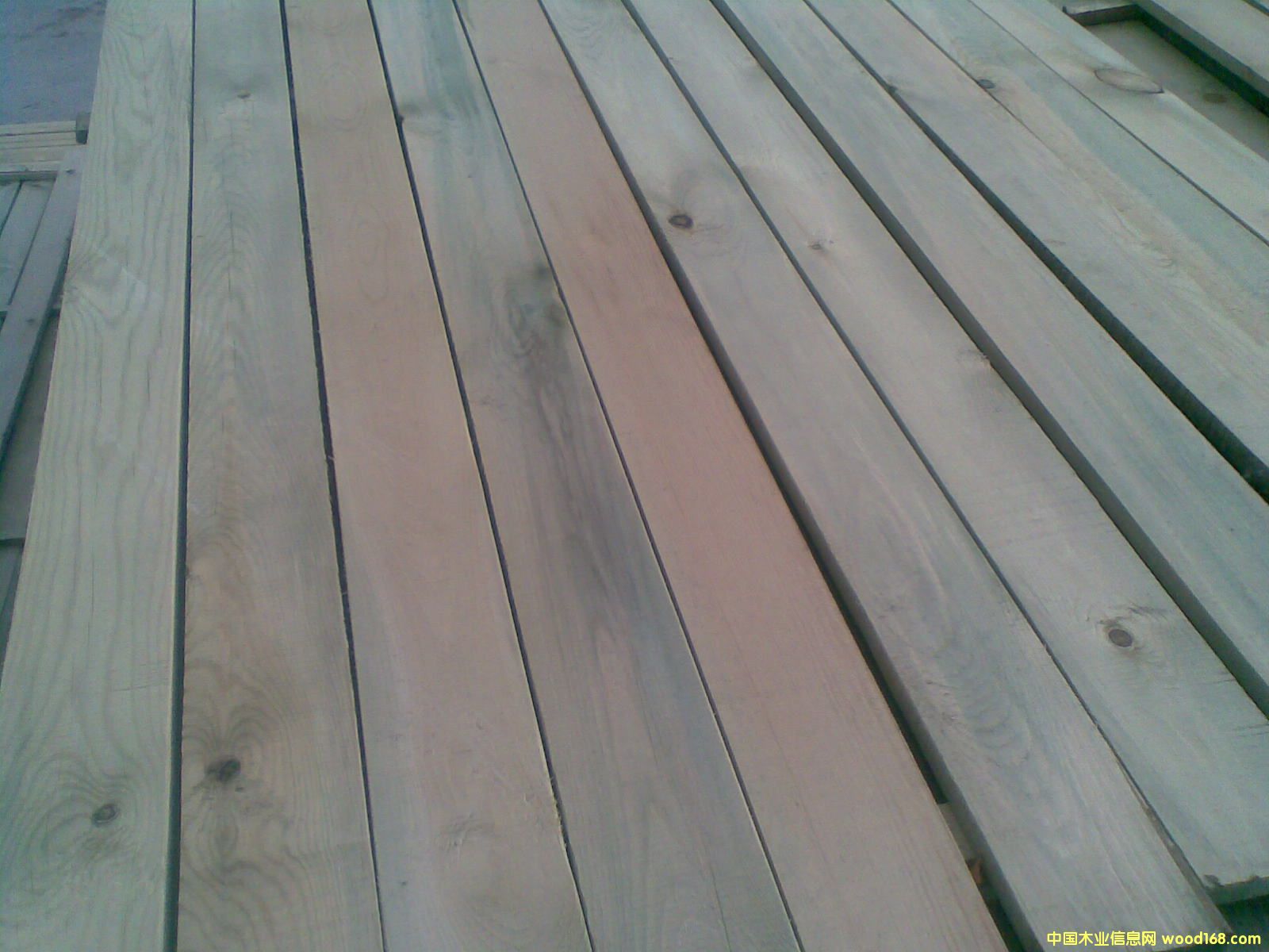 �����ɷ���ľ��Ԕ��(x��)��B