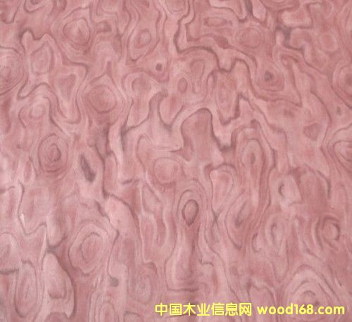 ���λ����Ԕ����B