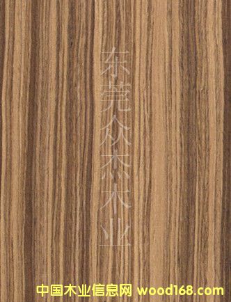 �|ݸľƤ�S���S���R