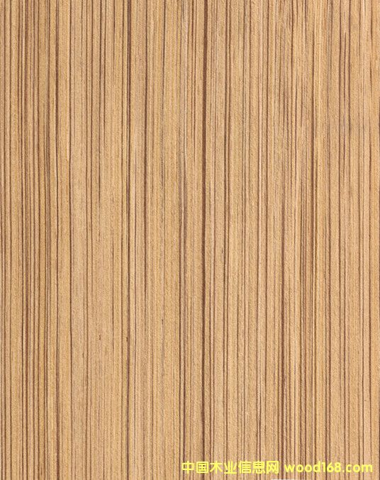 ���l(f��)�Ƽ�ľƤ���R2S