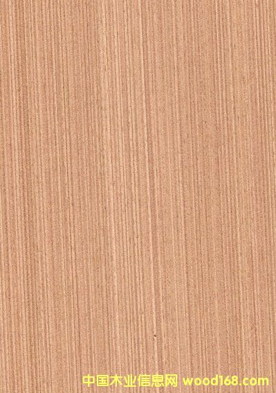 ��ɽľƤ�S�Ҽt�������l(f��)�r(ji��)