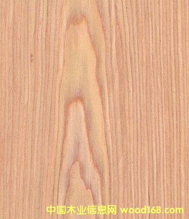 ����ľƤ���l(f��)Lɽ�y����