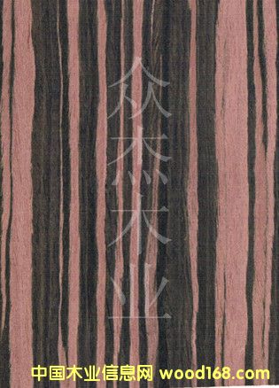 �����N��ľƤ��̴36S