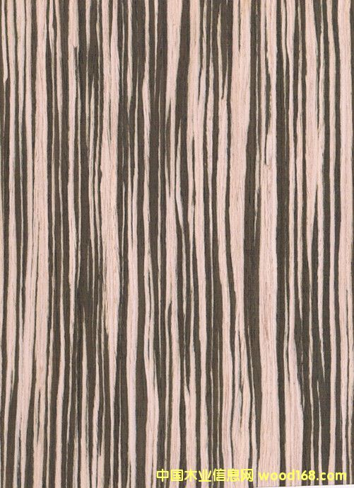 �|ݸ����(y��ng)�װ��R�Ƽ�ľƤ6#