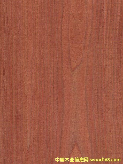 �|ݸ����(y��ng)�Ƽ�ľƤ�t����