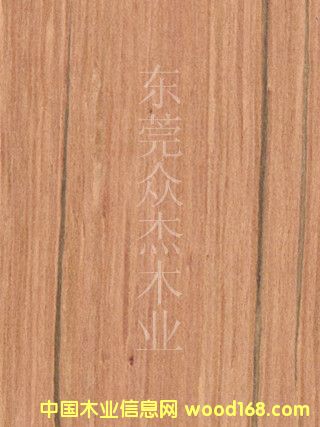 �|ݸ�Ƽ�ľƤ�t�O���Ӱ�