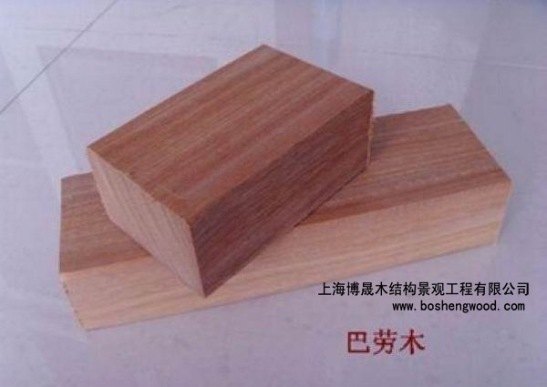 �̈́�ľ��Ԕ��(x��)��B