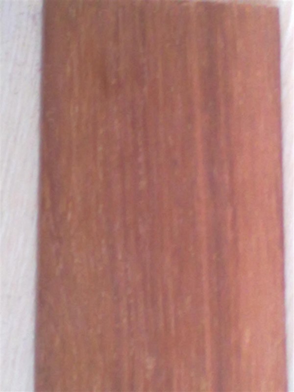 ӡ�Ფ�}���Ԕ��(x��)��B