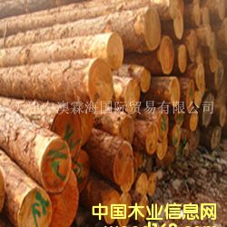 ���~��1��Ԕ����B