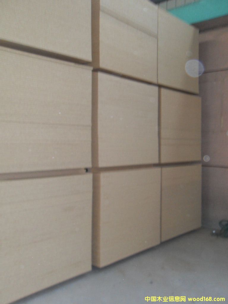 �����oȩA�ȫ��ľ�ٻ���