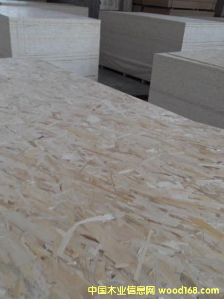 �����W����ľosb�����ٻ���W�ɰ�