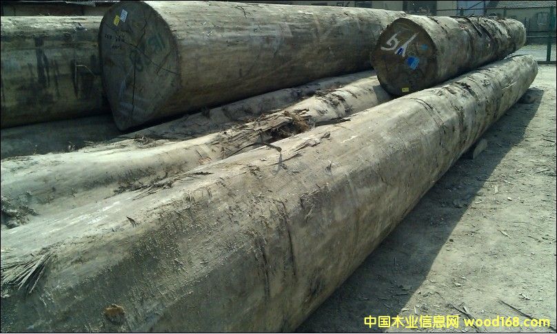 �t�����Ԕ����B