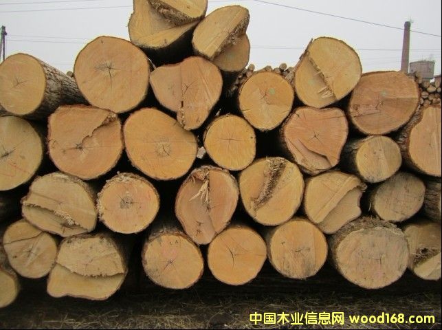 �ľ��Ԕ����B