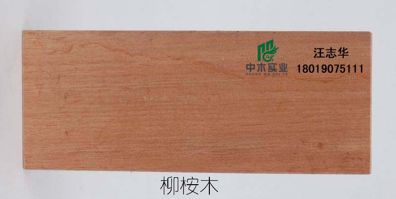 ����ľ��Ԕ��(x��)��B