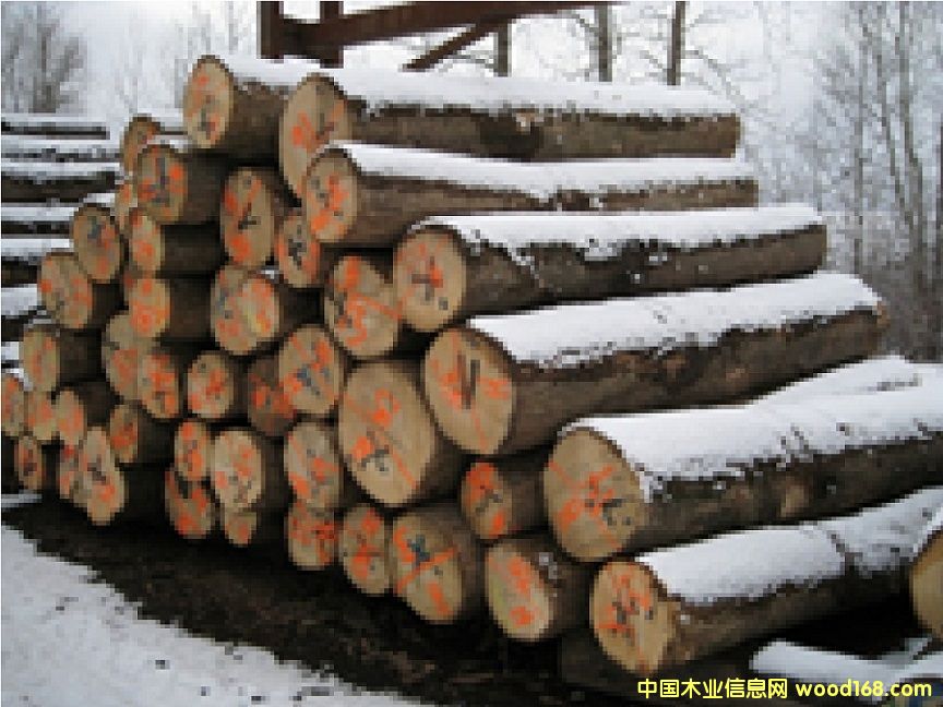 ������Ϟ?z��i)�ԭľ��Ԕ�?x��)��B