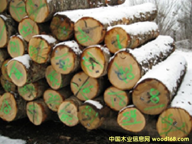 ������ľԭľ��Ԕ��(x��)��B