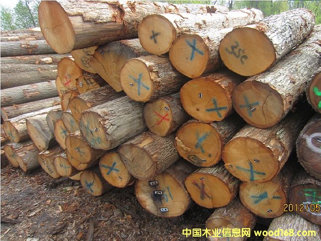 ��������ԭľ��Ԕ��(x��)��B