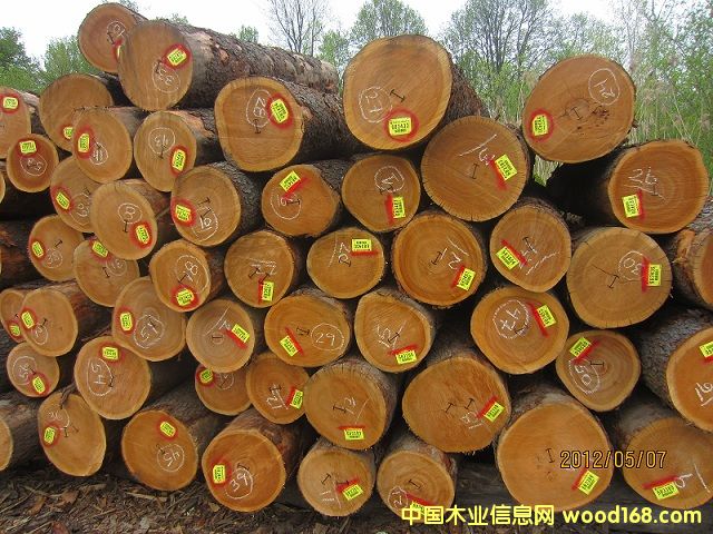 ��������ԭľ��Ԕ��(x��)��B