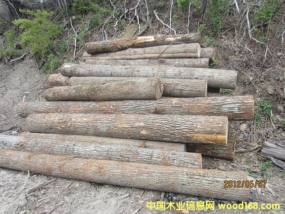 �����ľԭľ��Ԕ��(x��)��B