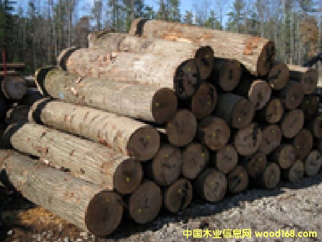 �����t��ԭľ��Ԕ��(x��)��B