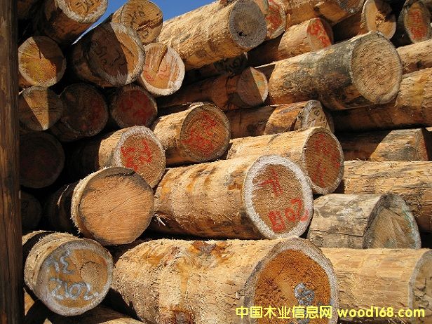 ����(gu��)����ԭľ