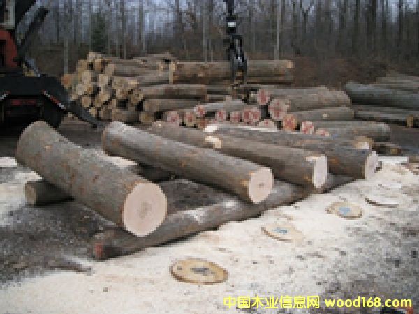 ����Ӳ��ԭľ��Ԕ��(x��)��B