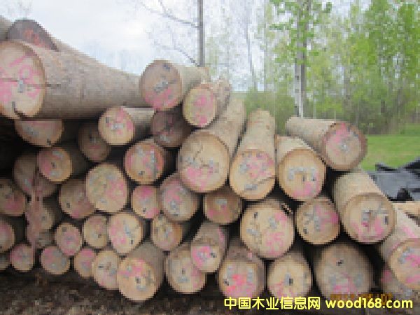 ����ɽ����ԭľ��Ԕ��(x��)��B