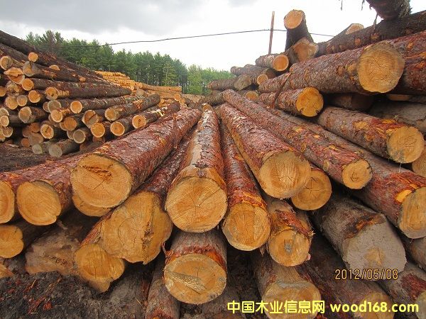 �����t��ԭľ��Ԕ��(x��)��B