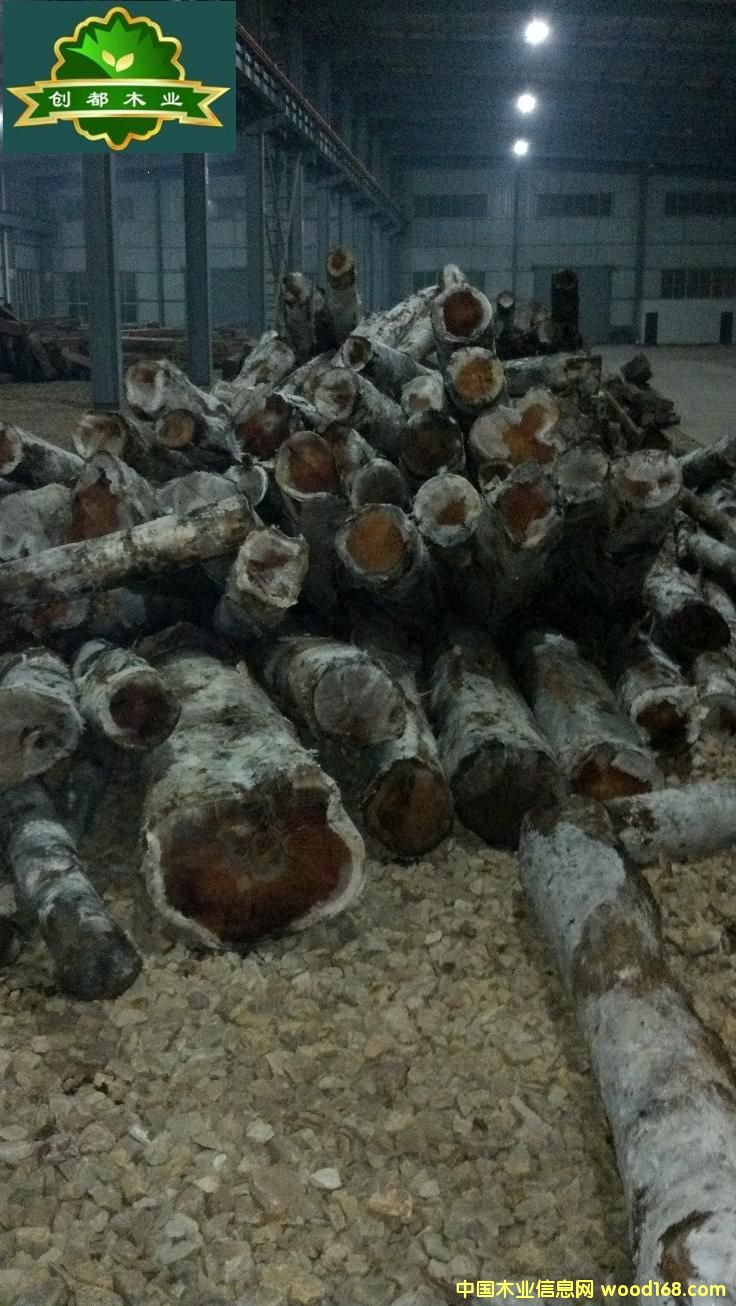 С�ڏ���ľ��Ԕ����B