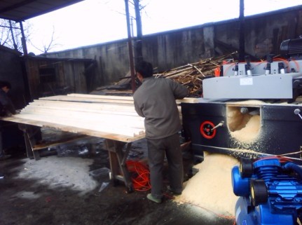 白松條的詳細介紹