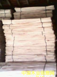 ��ľƤ��Ԕ��(x��)��B