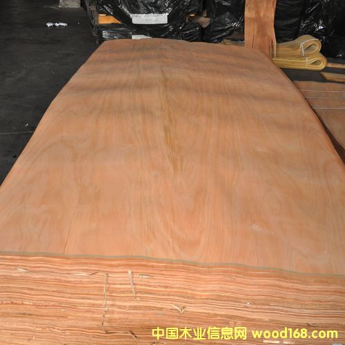 �W��������ľƤ��Ԕ��(x��)��B