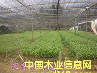 �������Ե�Ԕ��(x��)��B