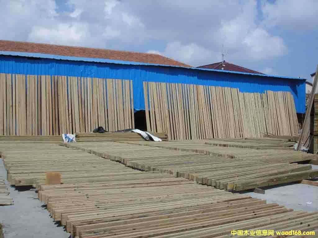 ��ɽ����ľ�ĵ�Ԕ����B