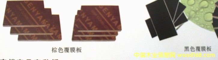 �ߙn������Ĥ���Ԕ��(x��)��B