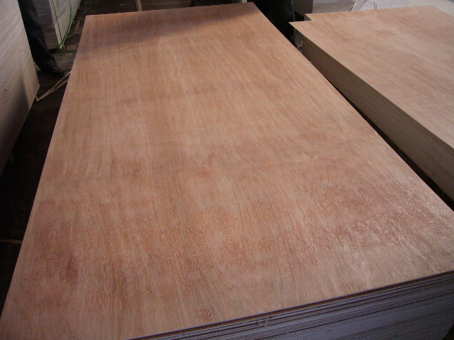 ��ľ����z�ϰ��Ԕ����B