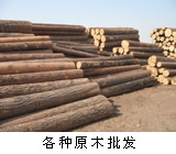 ���_˹�M(j��n)�����~�����ӵ�Ԕ��(x��)��B