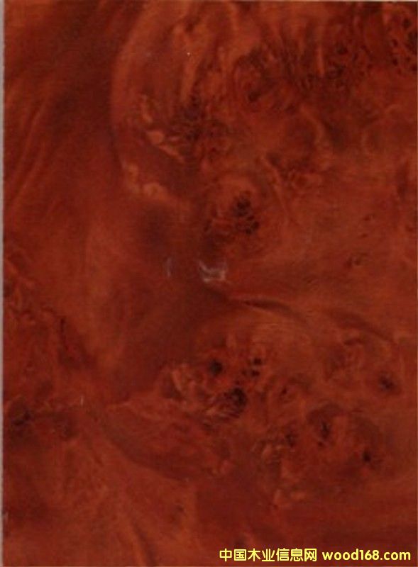 ֪��uv�������xuv�b��Ԕ��(x��)��B