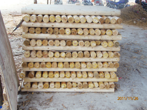 �c(di��n)���鿴ɼľľ���Ŵ�DƬ