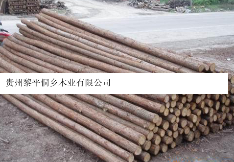 �c(di��n)���鿴ɼľԭľ�Ŵ�DƬ