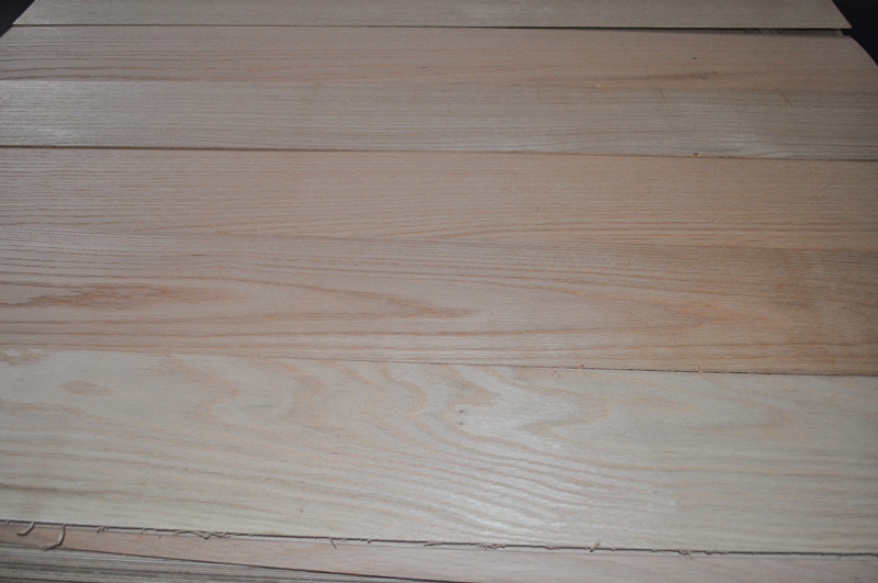 ���ľƤ �����t���Ԕ��(x��)��B