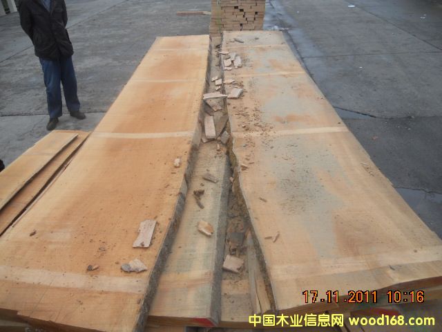 ��ľë߅���Ԕ��(x��)��B