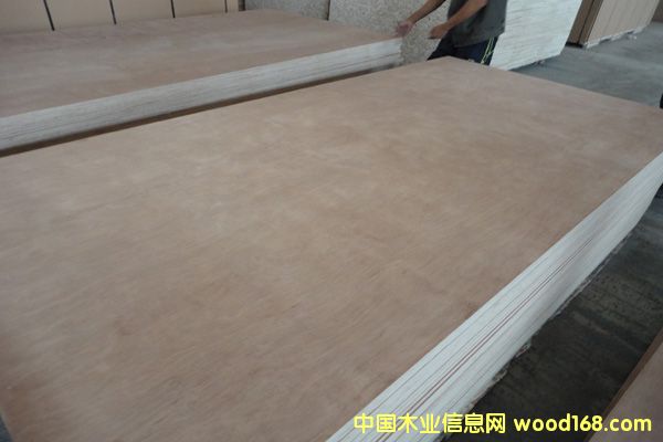 Ⱥ�����Ӱ�12mm