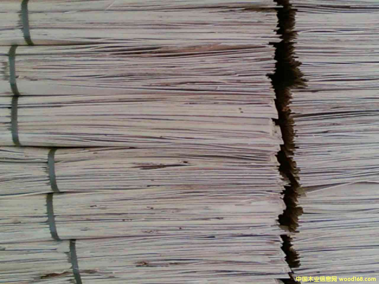 ��ľ�ΰ�2��Ԕ��(x��)��B